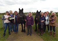 west midlands fell pony support group acupuncture demonstration