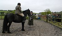 Midland West Fell Pony Area Support Group