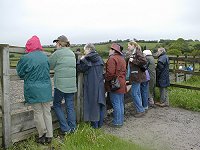 Midland West Fell Pony Area Support Group