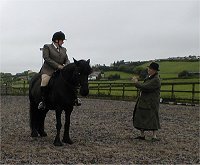 Midland West Fell Pony Area Support Group