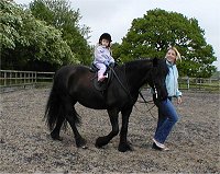 Midland West Fell Pony Area Support Group