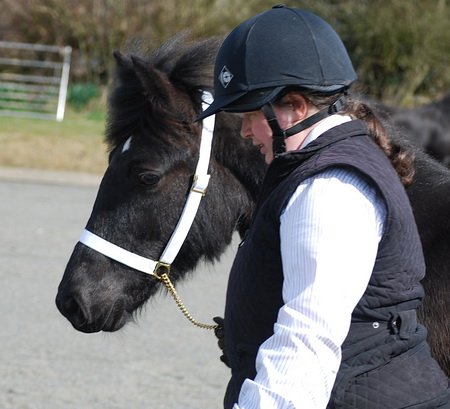 Midland West Fell Pony Support Group Showing clinic 2010