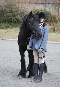 Midland West Fell Pony Support Group Showing clinic 2010