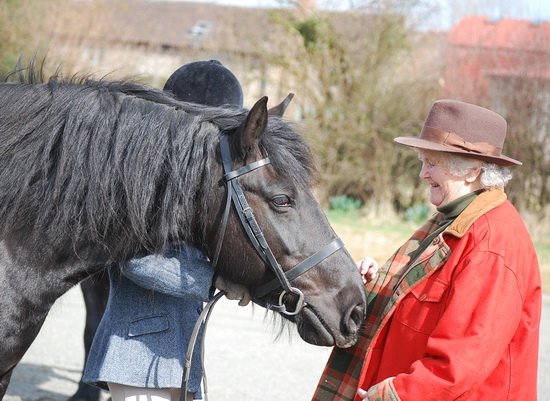 Midland West Fell Pony Support Group Showing clinic 2010