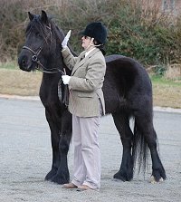 Midland West Fell Pony Support Group Showing clinic 2010