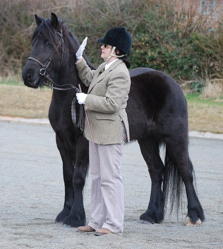 Midland West Fell Pony Support Group Showing clinic 2010