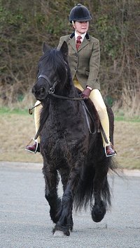 Midland West Fell Pony Support Group Showing clinic 2010