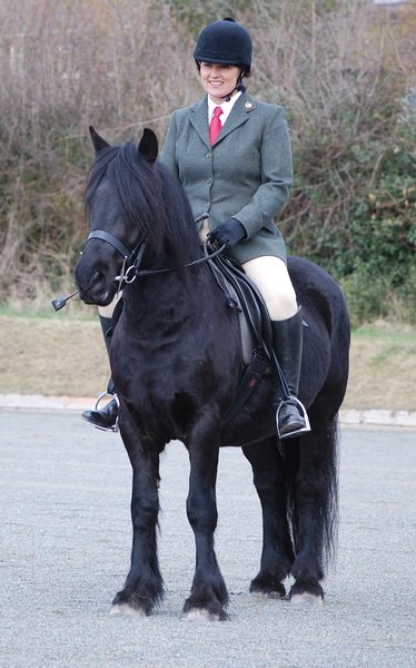 Midland West Fell Pony Support Group Showing clinic 2010
