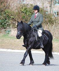 Midland West Fell Pony Support Group Showing clinic 2010