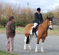 Midland West Fell Pony Support Group Showing clinic 2010