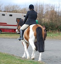 Midland West Fell Pony Support Group Showing clinic 2010