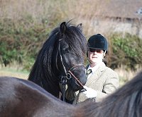 Midland West Fell Pony Support Group Showing clinic 2010