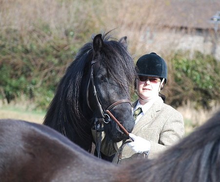 Midland West Fell Pony Support Group Showing clinic 2010