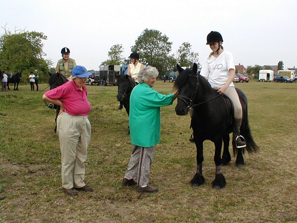 Midland West Fell Pony Area Support Group - Fell Pony Trotting