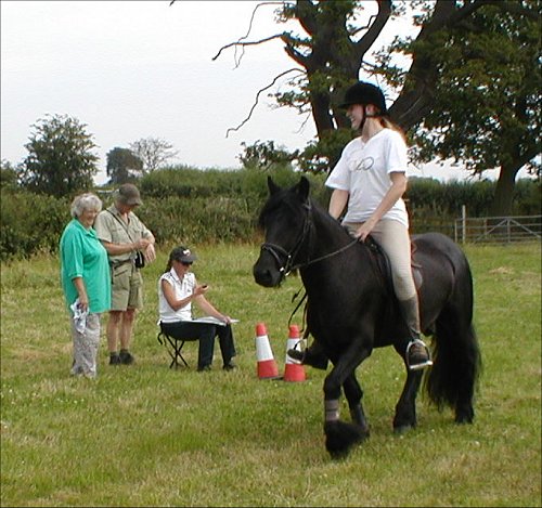 Midland West Fell Pony Area Support Group - Fell Pony Trotting