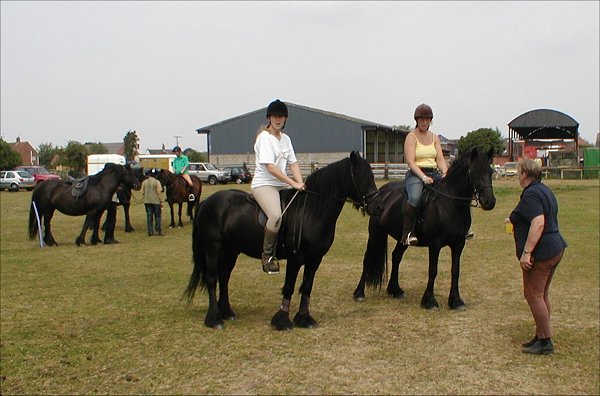 Midland West Fell Pony Area Support Group - Fell Pony Trotting