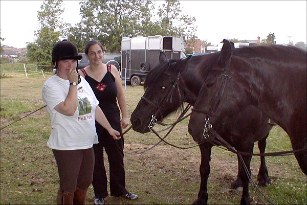 Midland West Fell Pony Area Support Group - Fell Pony Trotting