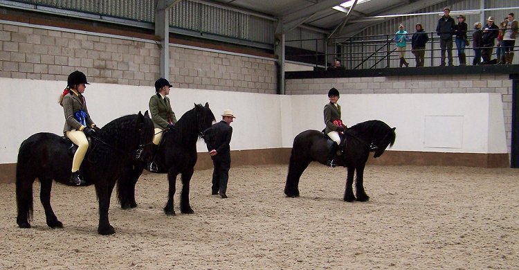 West Midlands Fell Pony Support Group Oswestry Show 2013