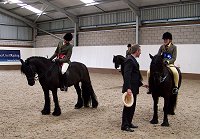 West Midlands Fell Pony Support Group Oswestry Show 2013