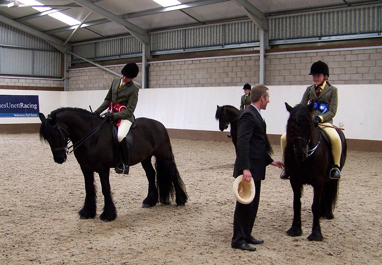 West Midlands Fell Pony Support Group Oswestry Show 2013