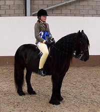 West Midlands Fell Pony Support Group Oswestry Show 2013