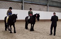 West Midlands Fell Pony Support Group Oswestry Show 2013