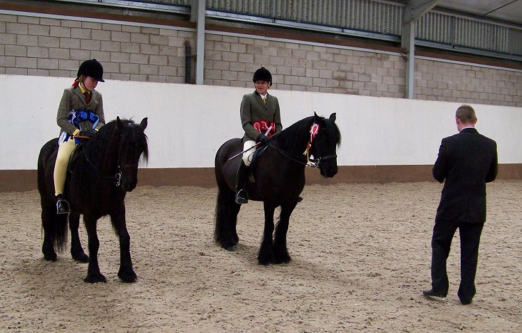 West Midlands Fell Pony Support Group Oswestry Show 2013