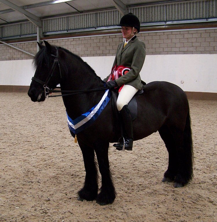 West Midlands Fell Pony Support Group Oswestry Show 2013