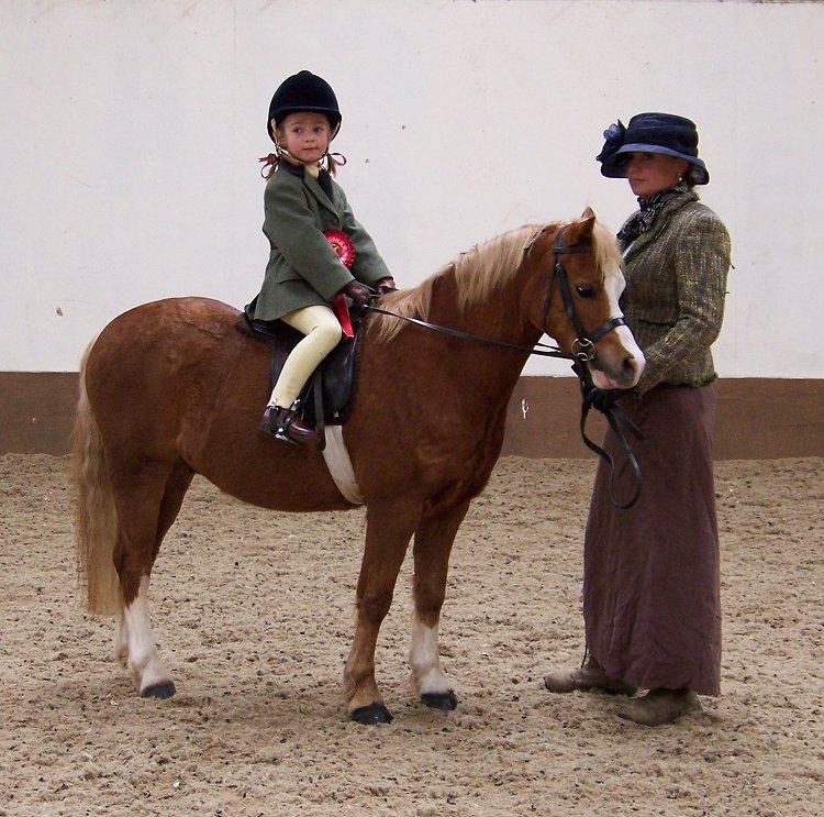 West Midlands Fell Pony Support Group Oswestry Show 2013