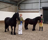 Midlands West Fell Pony Support Group Oswestry Show 2014