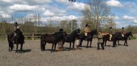 Spring Festivals of Fells - Sunday 10th April 2016