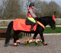 Spring Festivals of Fells - Sunday 10th April 2016