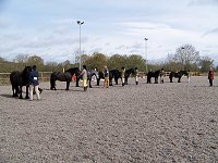 Midlands West Fell Pony Society Spring Show 2015