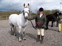 Midlands West Fell Pony Society Spring Show 2015