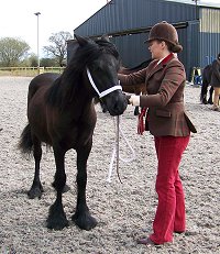 Midlands West Fell Pony Society Spring Show 2015